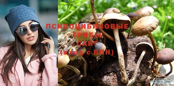 хмурый Слюдянка