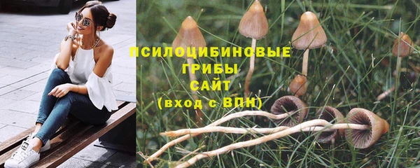 таблы Снежинск