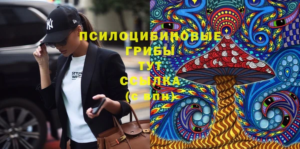 хмурый Слюдянка