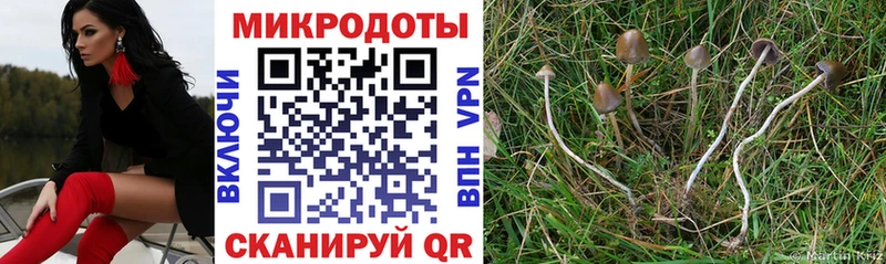 Псилоцибиновые грибы мухоморы  Купить где  Нариманов 